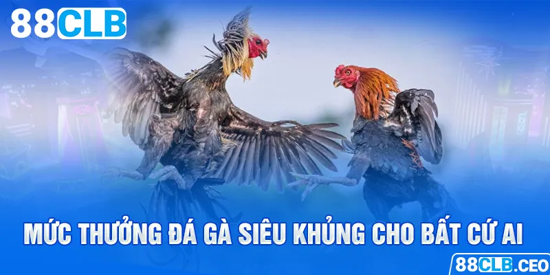 Mức thưởng đá gà siêu khủng cho bất cứ ai 