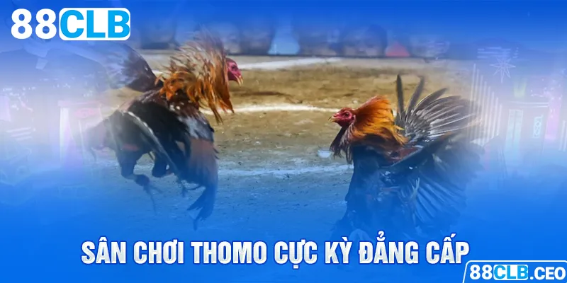 Sân chơi Thomo cực kỳ đẳng cấp 